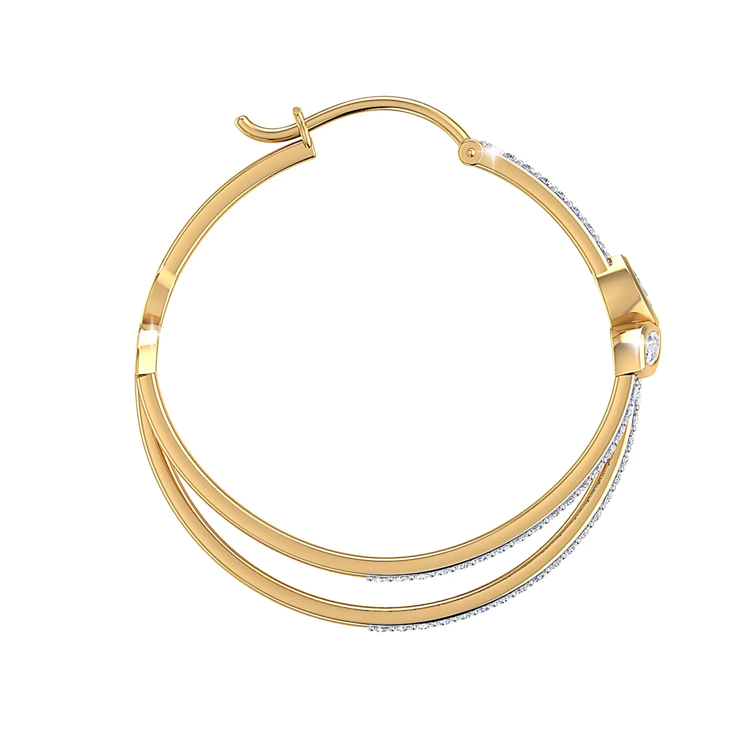 THE BEGONIA HOOPS