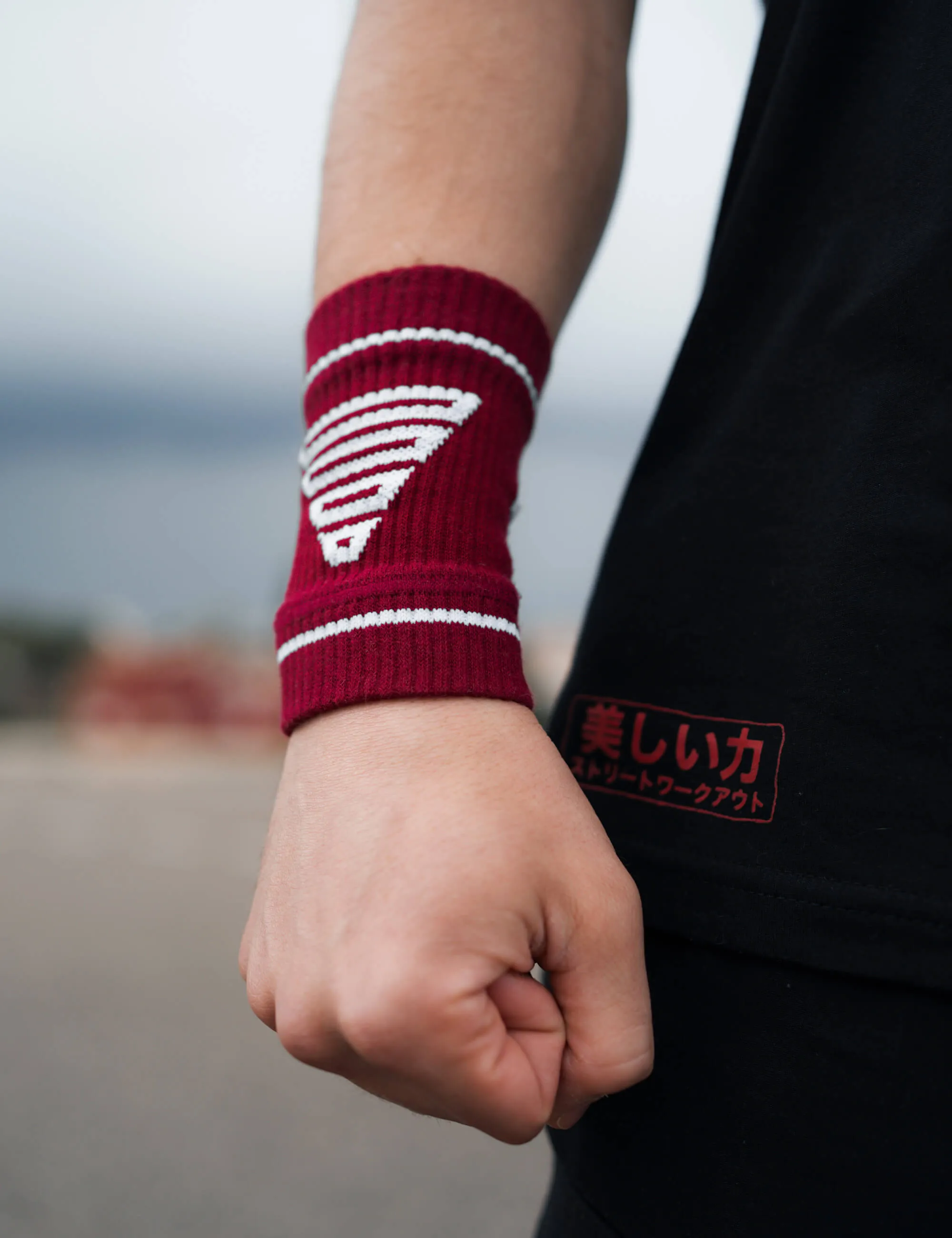 Wristbands (Limited Edition)